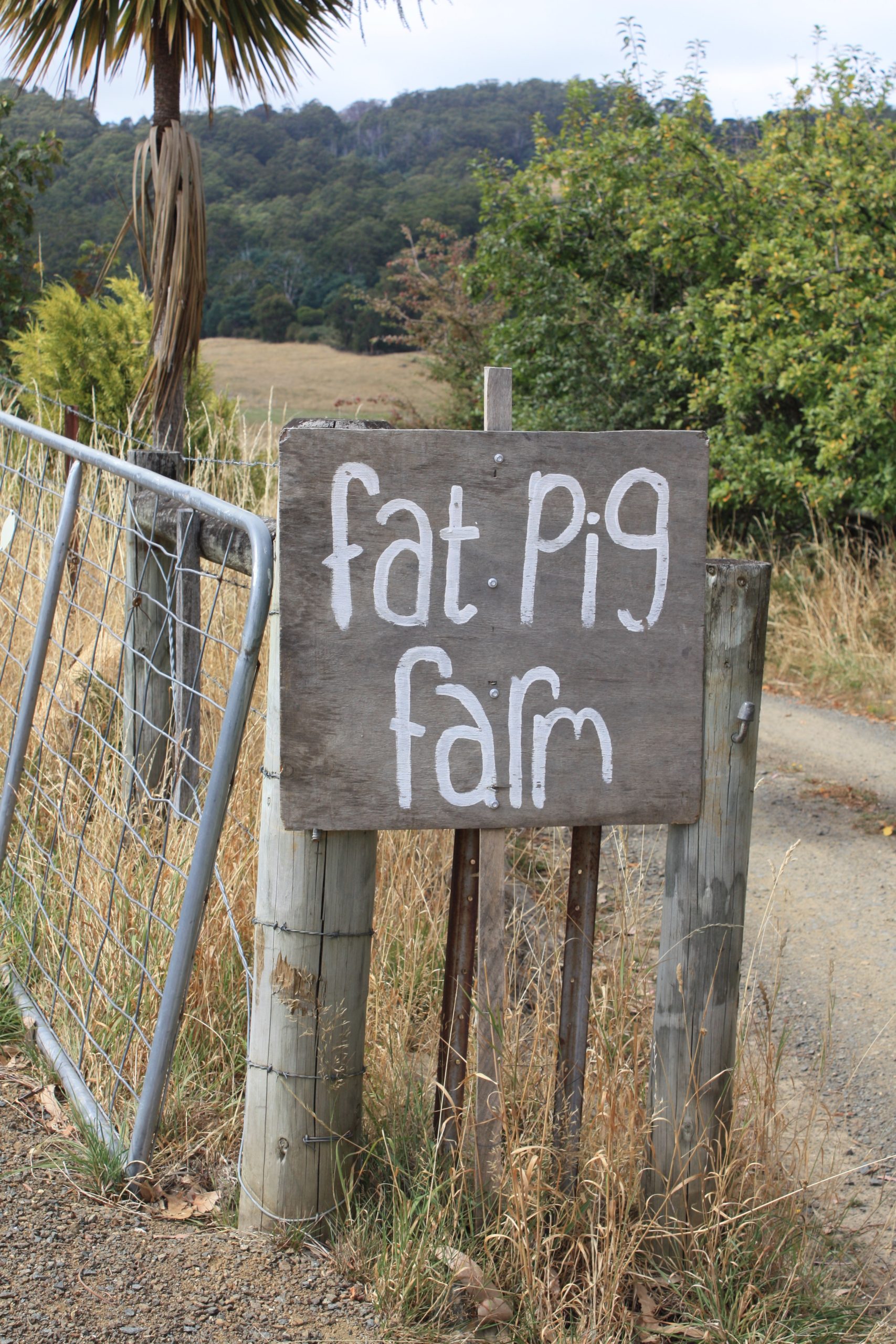 Fat Pig Farm sign at the Grounded Australia Festival